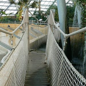 Planète Crocodiles - Bridge above the adult Nile crocodiles exhibit