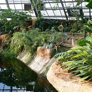 Planète Crocodiles - Theming and general view