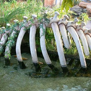 Planète Crocodiles - Theming