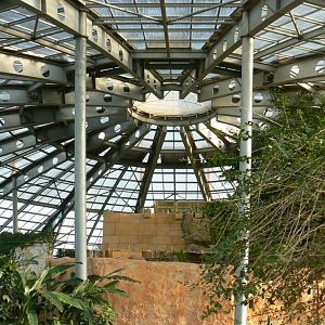 Planète Crocodiles - view of the upper part of the greenhouse