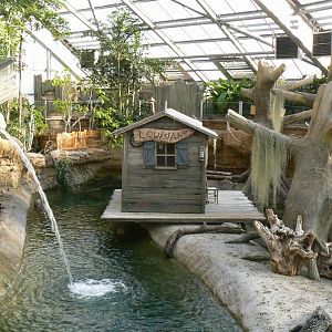 Planète Crocodiles -