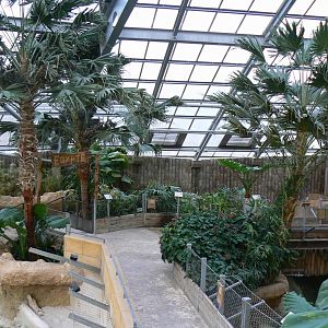 Planète Crocodiles - General view