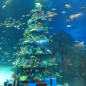 Shark Realm - Underwater Christmas