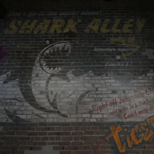 Shark Realm - View of Wall Near Entry