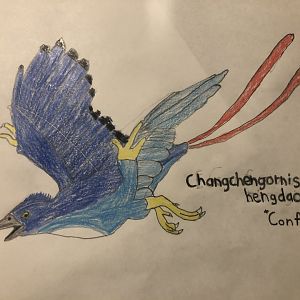Changchengornis hengdaoziensis