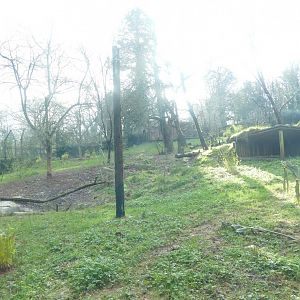 Sumatran tiger enclosure, December 2020
