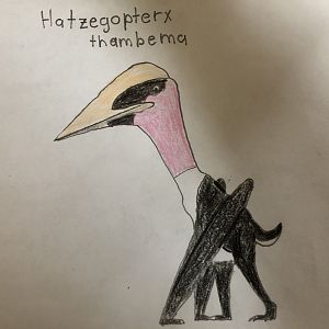Hatzegopteryx thambema