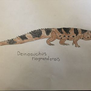 Deinosuchus riograndensis