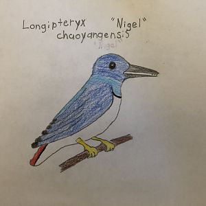 Nigel, Longipteryx chaoyangensis