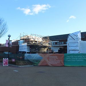 Lion House Construction