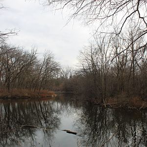 Salt Creek Nature Trail