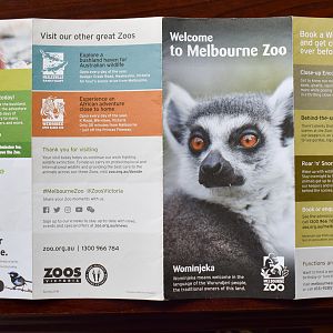 Melbourne Zoo Map (2018)
