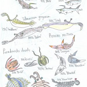 PKC: Ancient Aquaria