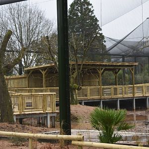 Latin American Wetlands aviary progress