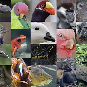 Christmas 2020 photo puzzle unmasked