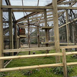 New Laughing Kookaburra Exhibit