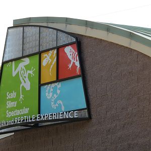 Scaly Slimy Spectacular - Georgia Extremes Building Exterior