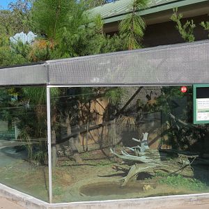 Scaly Slimy Spectacular - Gopher Tortoise Exhibit