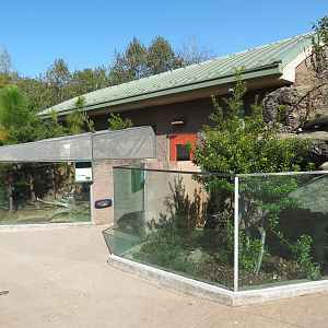 Scaly Slimy Spectacular - Eastern Box Turtle Exhibit