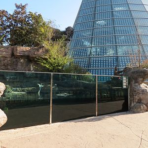 Scaly Slimy Spectacular - Turtle Exhibit