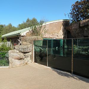 Scaly Slimy Spectacular - Turtle Exhibit