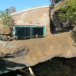 Scaly Slimy Spectacular - Turtle Exhibit