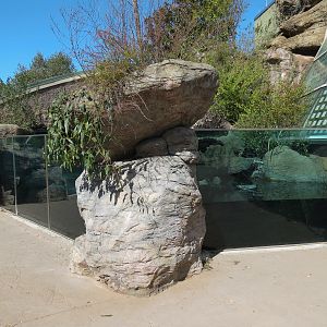 Scaly Slimy Spectacular - Turtle Exhibit