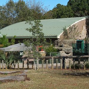 Scaly Slimy Spectacular - Seasonal Tortoise Yard