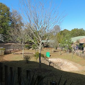 Scaly Slimy Spectacular - Seasonal Tortoise Yard