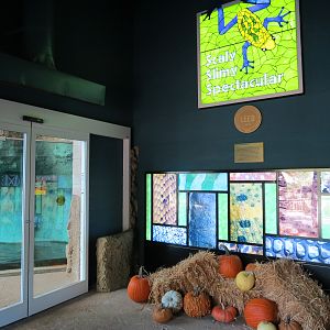 Scaly Slimy Spectacular - Main Building Foyer