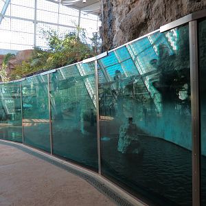 Scaly Slimy Spectacular - African Slender-snouted Crocodile Exhibit