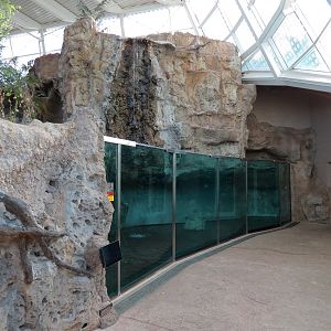 Scaly Slimy Spectacular - African Slender-snouted Crocodile Exhibit