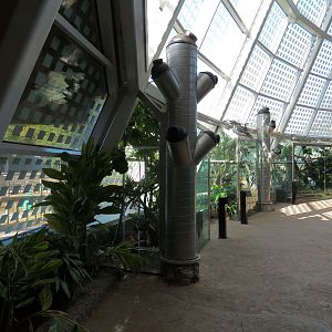 Scaly Slimy Spectacular - Main Building Entry Atrium