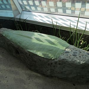 Scaly Slimy Spectacular - Main Building Bench Detail