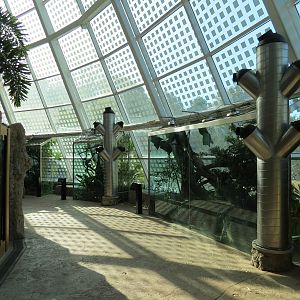 Scaly Slimy Spectacular - Main Building Entry Atrium