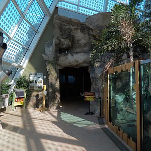 Scaly Slimy Spectacular - Main Building Entry Atrium