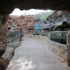 Scaly Slimy Spectacular - Desert Exhibits Entrance