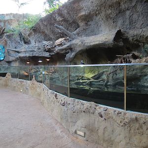 Scaly Slimy Spectacular - Turtle Exhibit