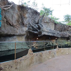 Scaly Slimy Spectacular - Turtle Exhibit