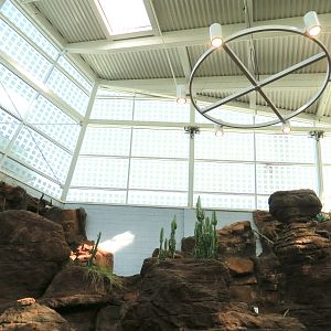 Scaly Slimy Spectacular - Desert Exhibits Ceiling