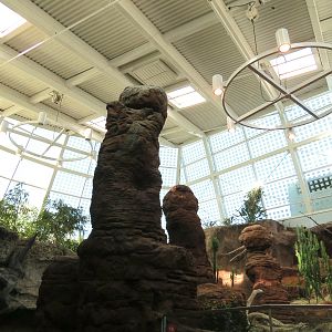 Scaly Slimy Spectacular - Desert Exhibits Ceiling