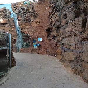 Scaly Slimy Spectacular - Desert Exhibits Walkway