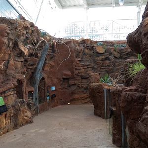 Scaly Slimy Spectacular - Desert Exhibits Walkway