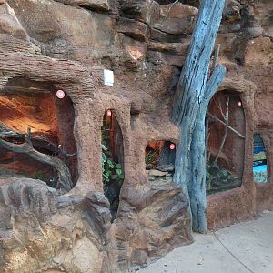 Scaly Slimy Spectacular - Desert Wall Exhibits