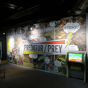 Scaly Slimy Spectacular - Exhibit Hall Mural