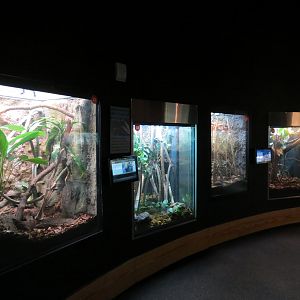 Scaly Slimy Spectacular - Exhibit Hall