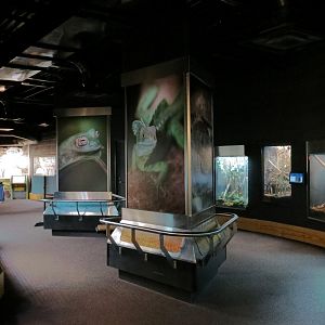 Scaly Slimy Spectacular - Exhibit Hall