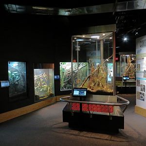 Scaly Slimy Spectacular - Exhibit Hall