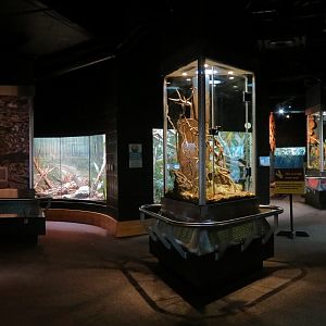 Scaly Slimy Spectacular - Exhibit Hall