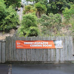 Future Snow Leopard Sign, January 2021